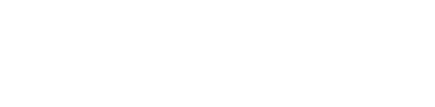 SANeForce